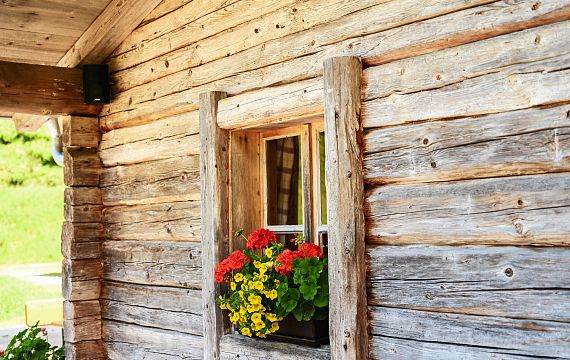 niederkaseralm-magdalena-laiminger-1